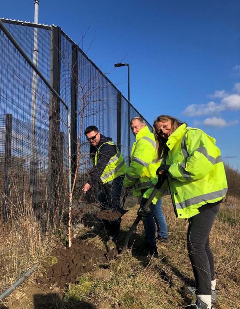 Hague staff planting 500 new trees at new head office